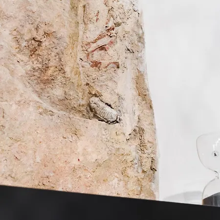 Luxury 4br Steps From Praca Do Comercio Διαμέρισμα